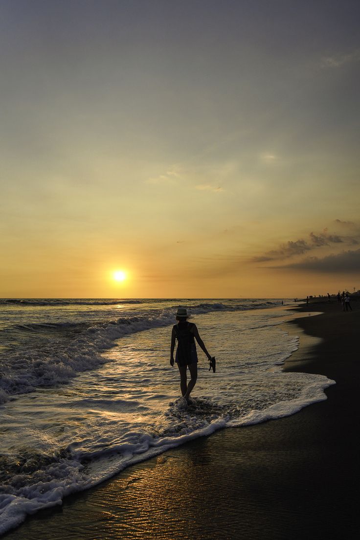 Shuttle Playa El Paredón